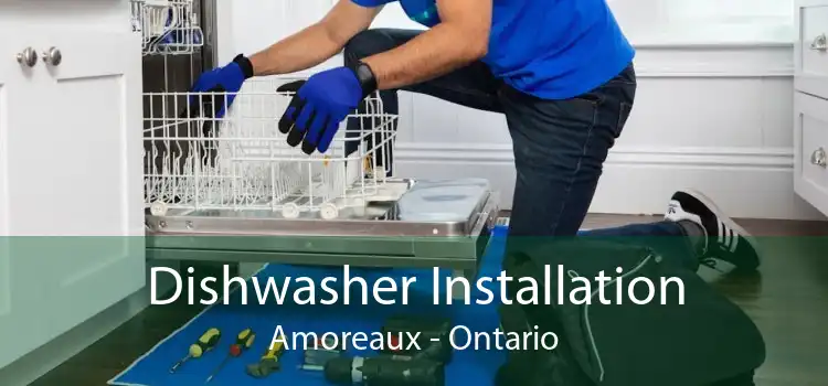 Dishwasher Installation Amoreaux - Ontario