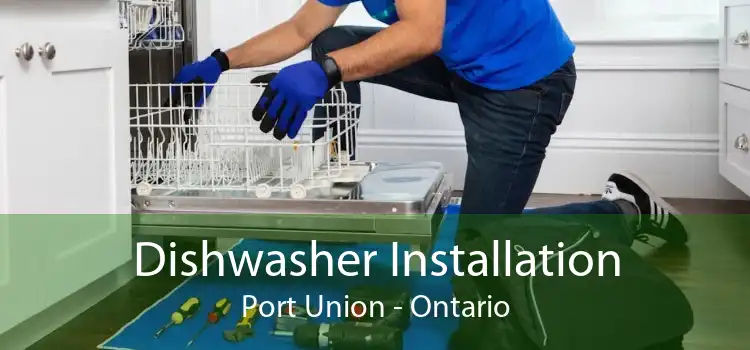 Dishwasher Installation Port Union - Ontario