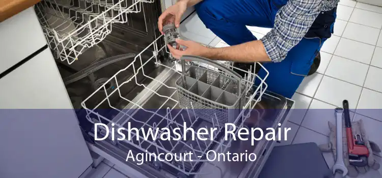 Dishwasher Repair Agincourt - Ontario