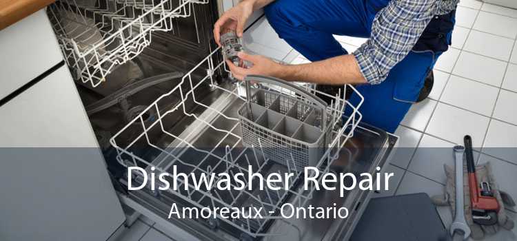 Dishwasher Repair Amoreaux - Ontario