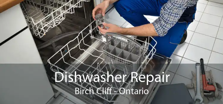 Dishwasher Repair Birch Cliff - Ontario