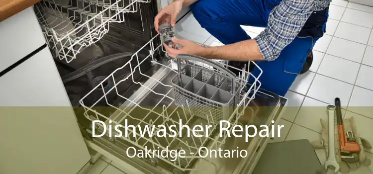 Dishwasher Repair Oakridge - Ontario