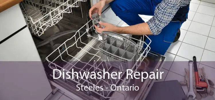 Dishwasher Repair Steeles - Ontario
