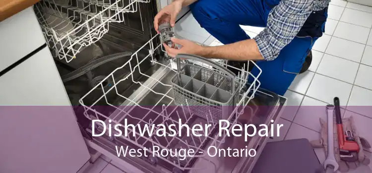 Dishwasher Repair West Rouge - Ontario