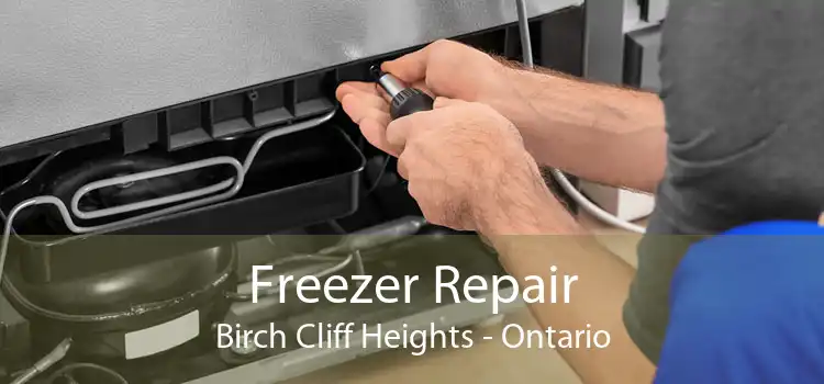 Freezer Repair Birch Cliff Heights - Ontario