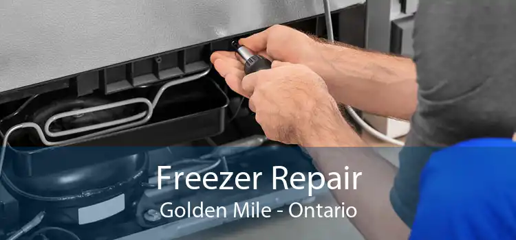 Freezer Repair Golden Mile - Ontario