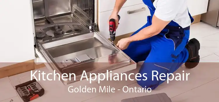 Kitchen Appliances Repair Golden Mile - Ontario