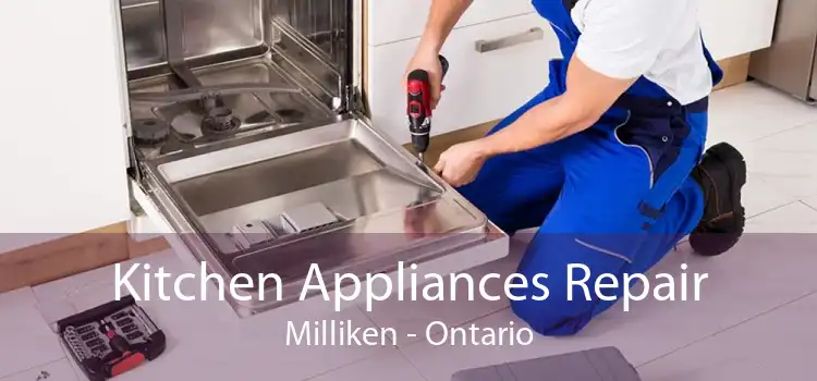 Kitchen Appliances Repair Milliken - Ontario