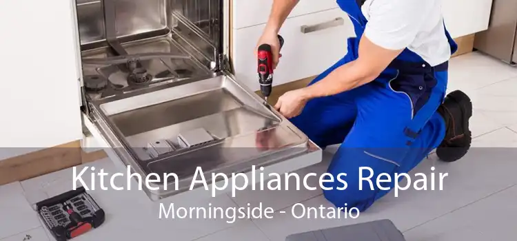 Kitchen Appliances Repair Morningside - Ontario