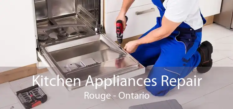 Kitchen Appliances Repair Rouge - Ontario