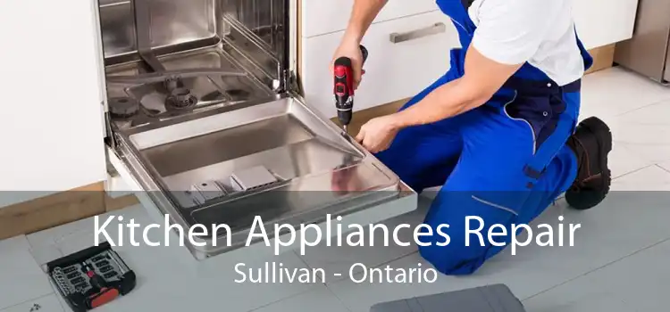 Kitchen Appliances Repair Sullivan - Ontario