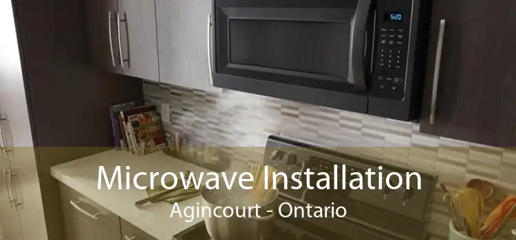 Microwave Installation Agincourt - Ontario