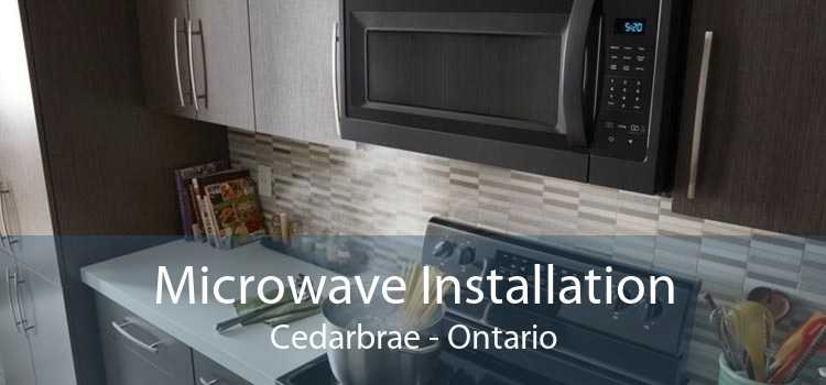 Microwave Installation Cedarbrae - Ontario