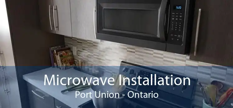 Microwave Installation Port Union - Ontario