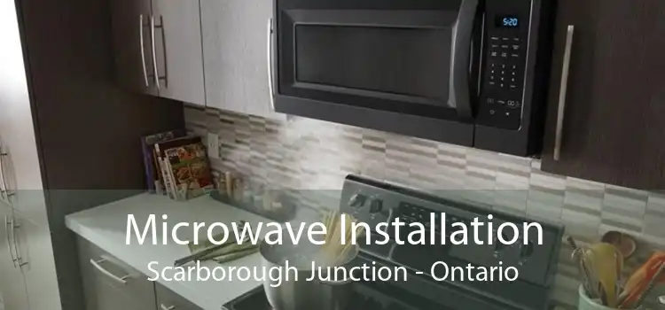 Microwave Installation Scarborough Junction - Ontario