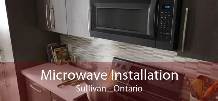 Microwave Installation Sullivan - Ontario