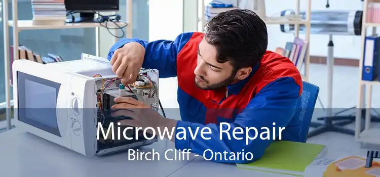 Microwave Repair Birch Cliff - Ontario