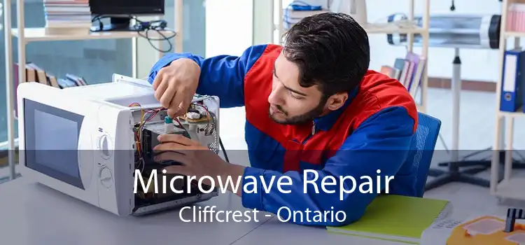 Microwave Repair Cliffcrest - Ontario