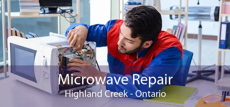 Microwave Repair Highland Creek - Ontario
