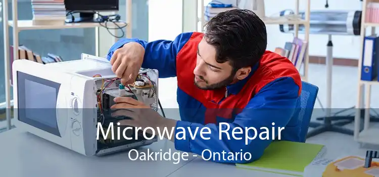 Microwave Repair Oakridge - Ontario
