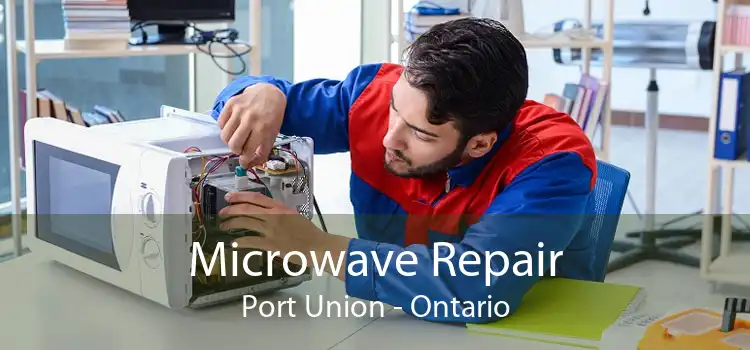 Microwave Repair Port Union - Ontario