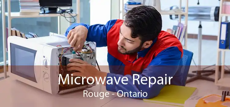 Microwave Repair Rouge - Ontario