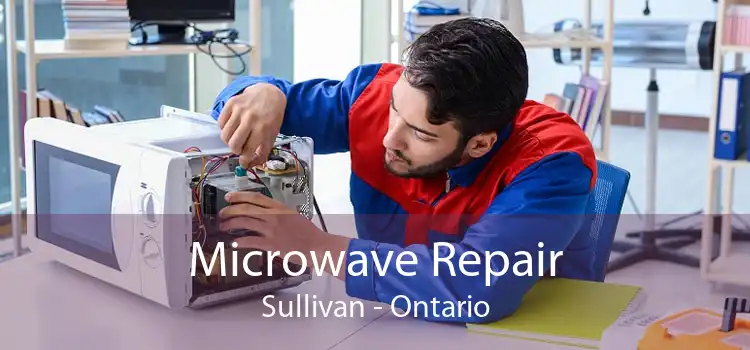 Microwave Repair Sullivan - Ontario
