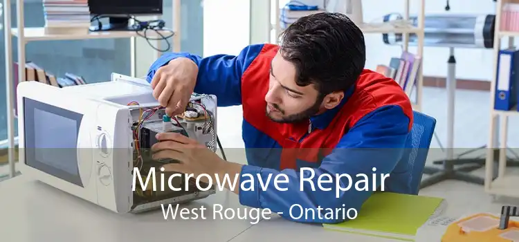 Microwave Repair West Rouge - Ontario