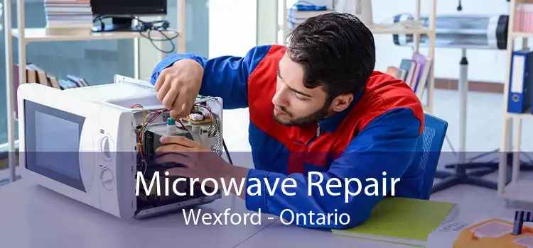 Microwave Repair Wexford - Ontario