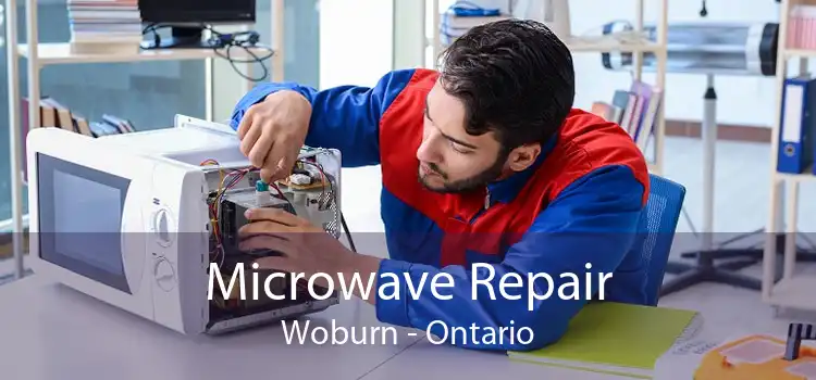 Microwave Repair Woburn - Ontario