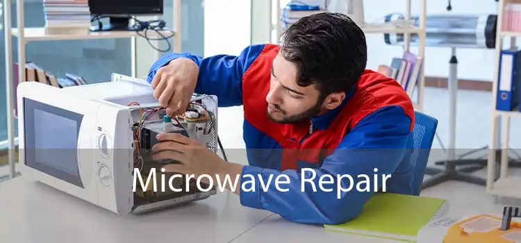 Microwave Repair 