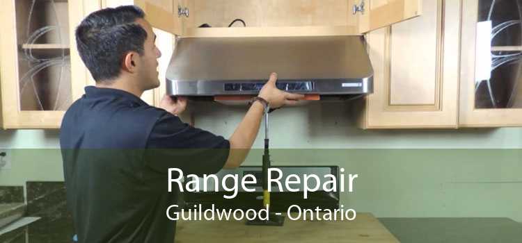 Range Repair Guildwood - Ontario