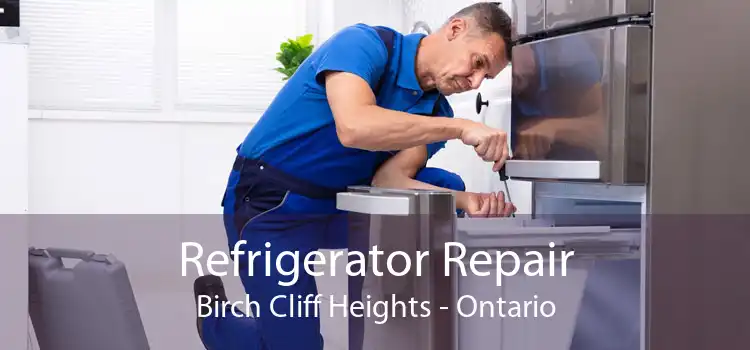 Refrigerator Repair Birch Cliff Heights - Ontario