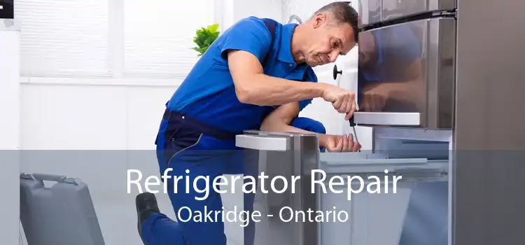 Refrigerator Repair Oakridge - Ontario