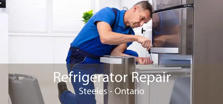 Refrigerator Repair Steeles - Ontario