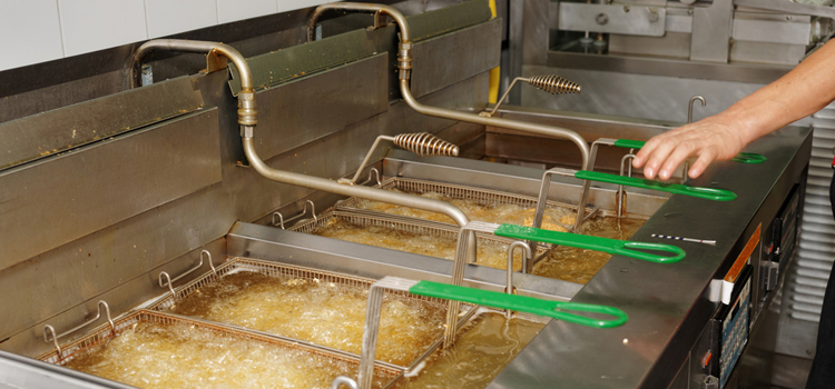 Gaggenau Commercial Fryer Repair in Scarborough